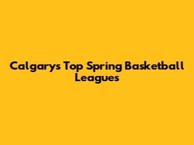 Calgary's Top Spring Basketball Leagues