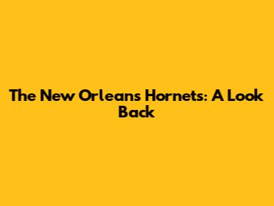 The New Orleans Hornets: A Look Back